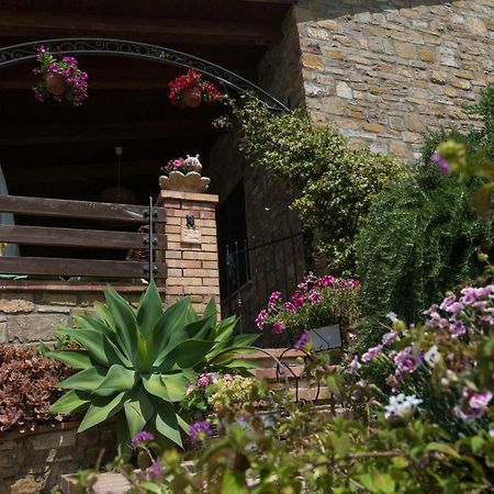 Bed and Breakfast Il Brillocco Castellabate Exterior foto