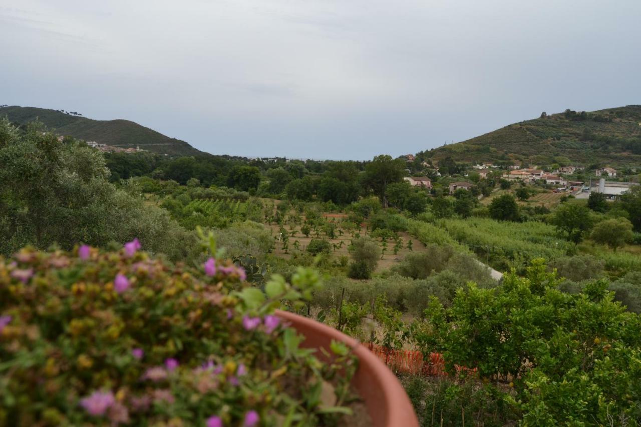 Bed and Breakfast Il Brillocco Castellabate Exterior foto