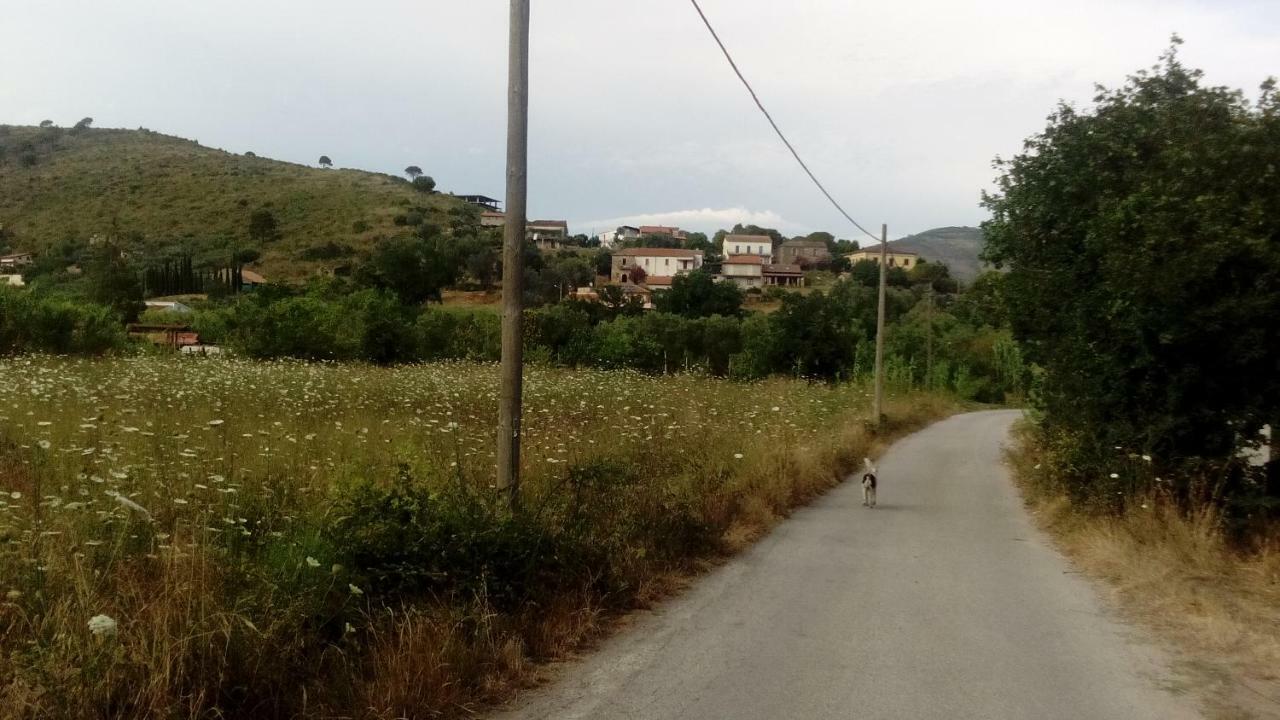 Bed and Breakfast Il Brillocco Castellabate Exterior foto