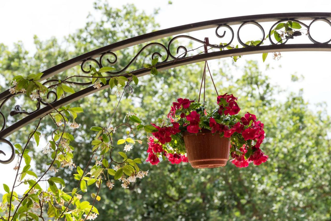 Bed and Breakfast Il Brillocco Castellabate Exterior foto