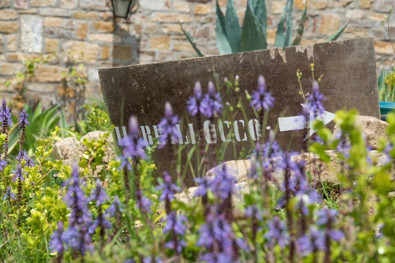Bed and Breakfast Il Brillocco Castellabate Exterior foto